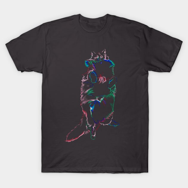 Fluffy Cat T-Shirt by RaLiz